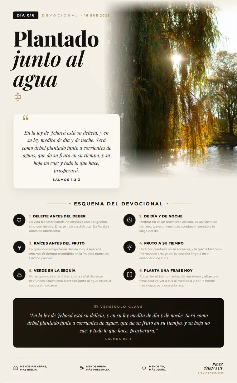 Día 016 en Español