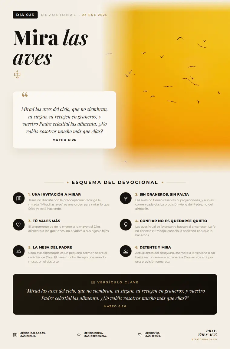 Día 023 en Español