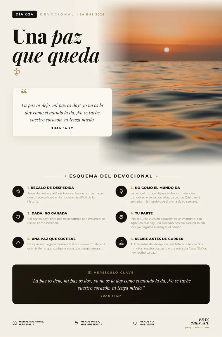 Día 024 en Español