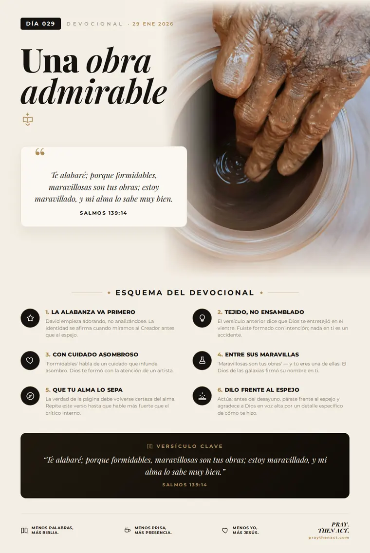 Día 029 — Una obra admirable