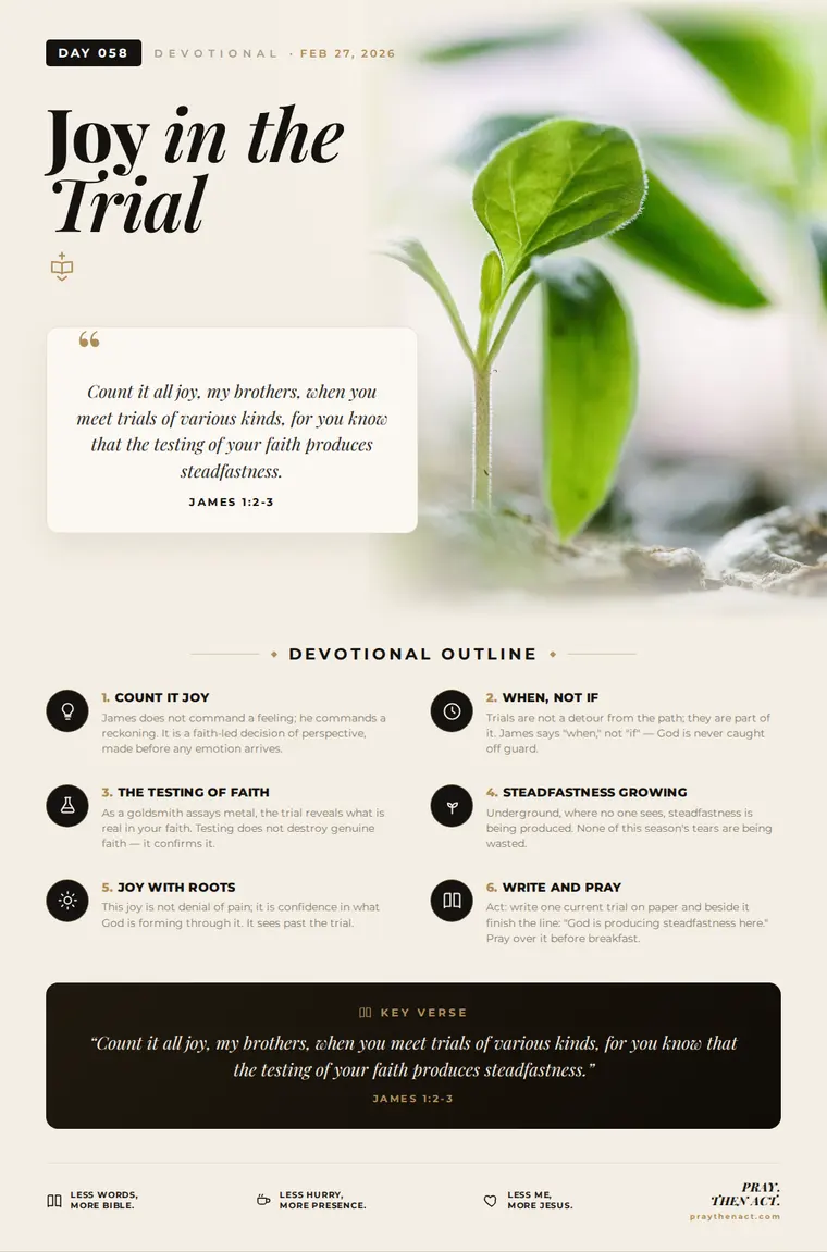 Day 058 — Joy in the Trial