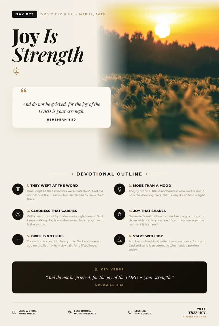 Day 073 — Joy Is Strength