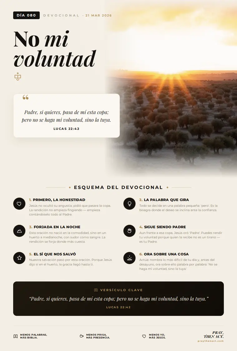 Día 080 en Español