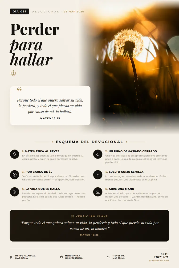 Día 081 en Español