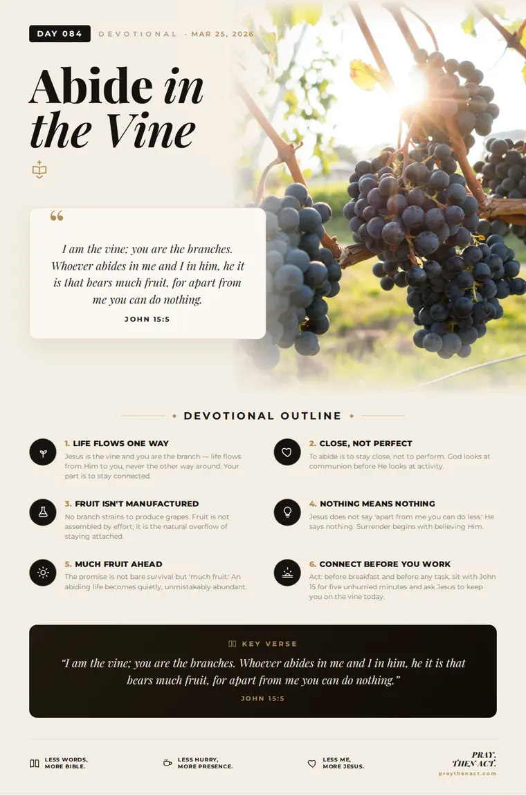 Day 084 — Abide in the Vine