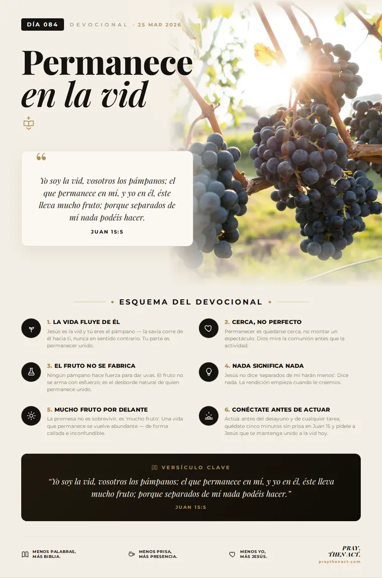Día 084 en Español