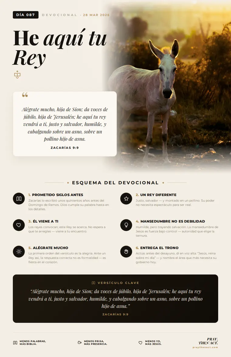 Día 087 en Español