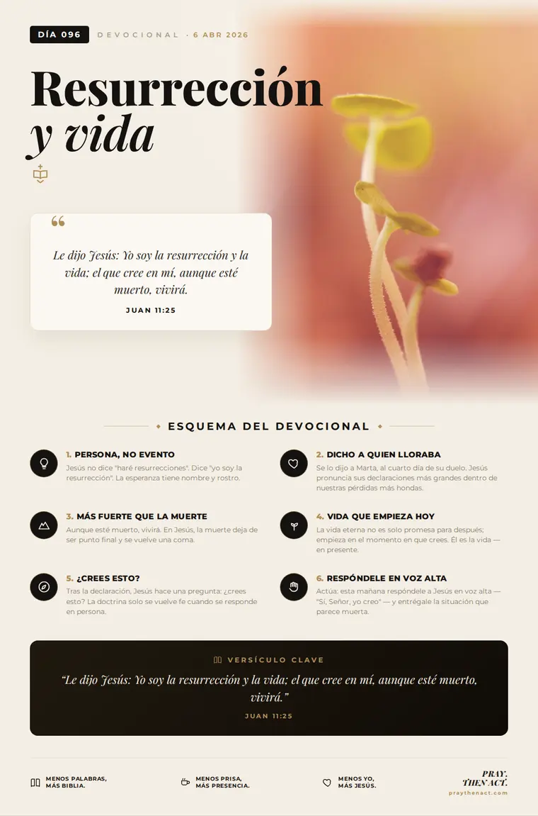 Día 096 en Español