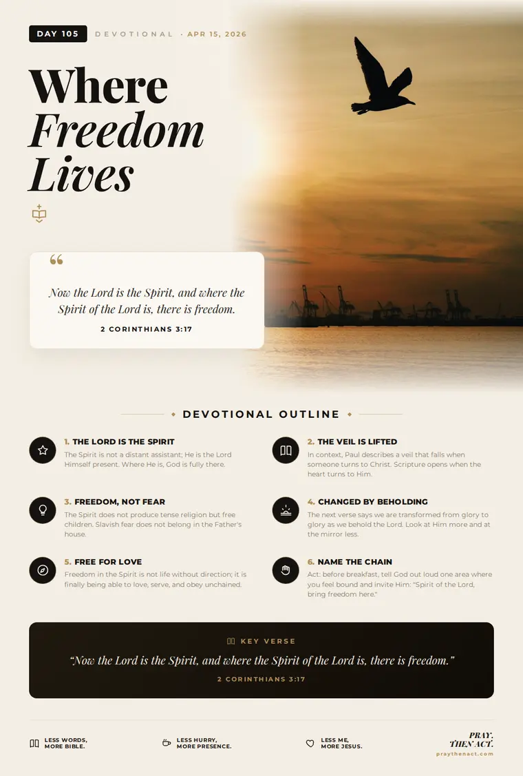 Day 105 — Where Freedom Lives