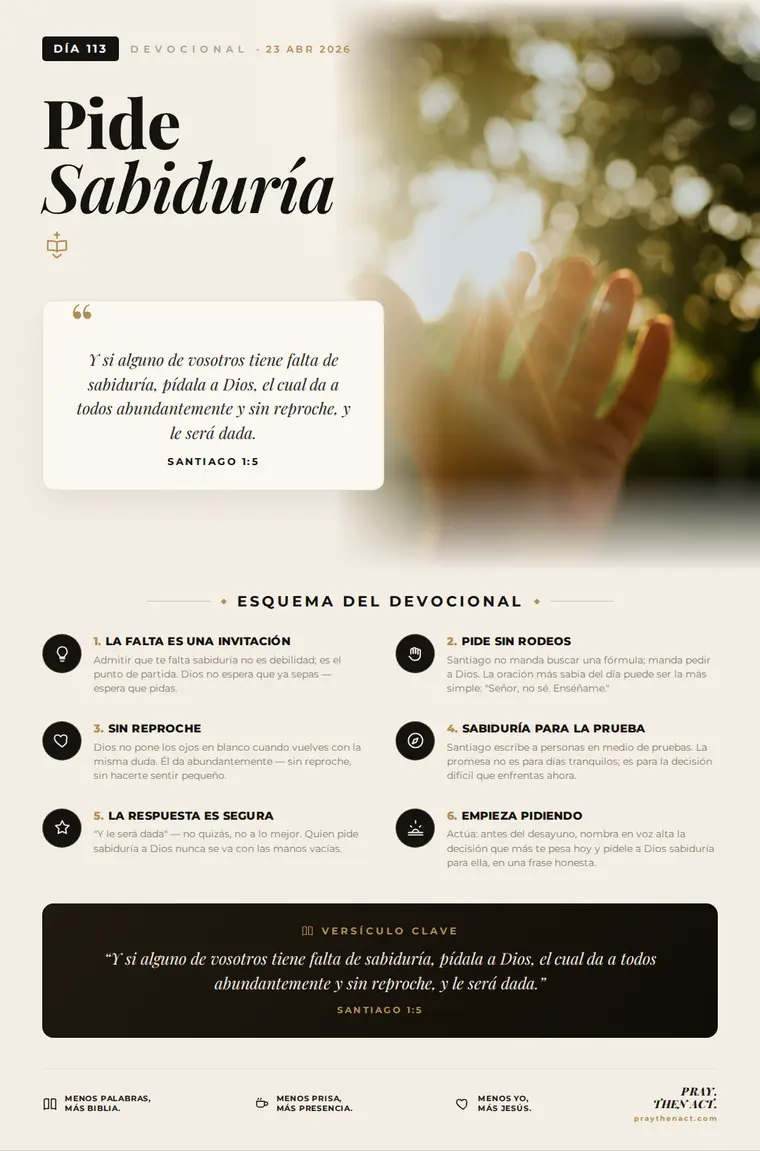Día 113 en Español