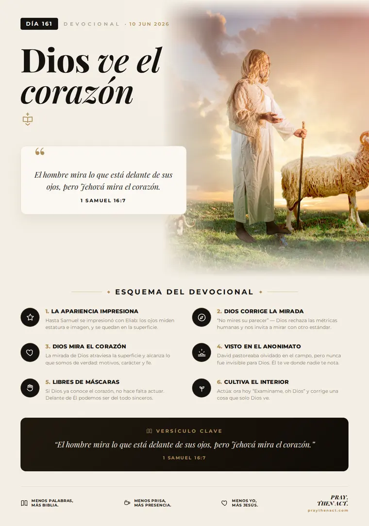 Día 161 en Español