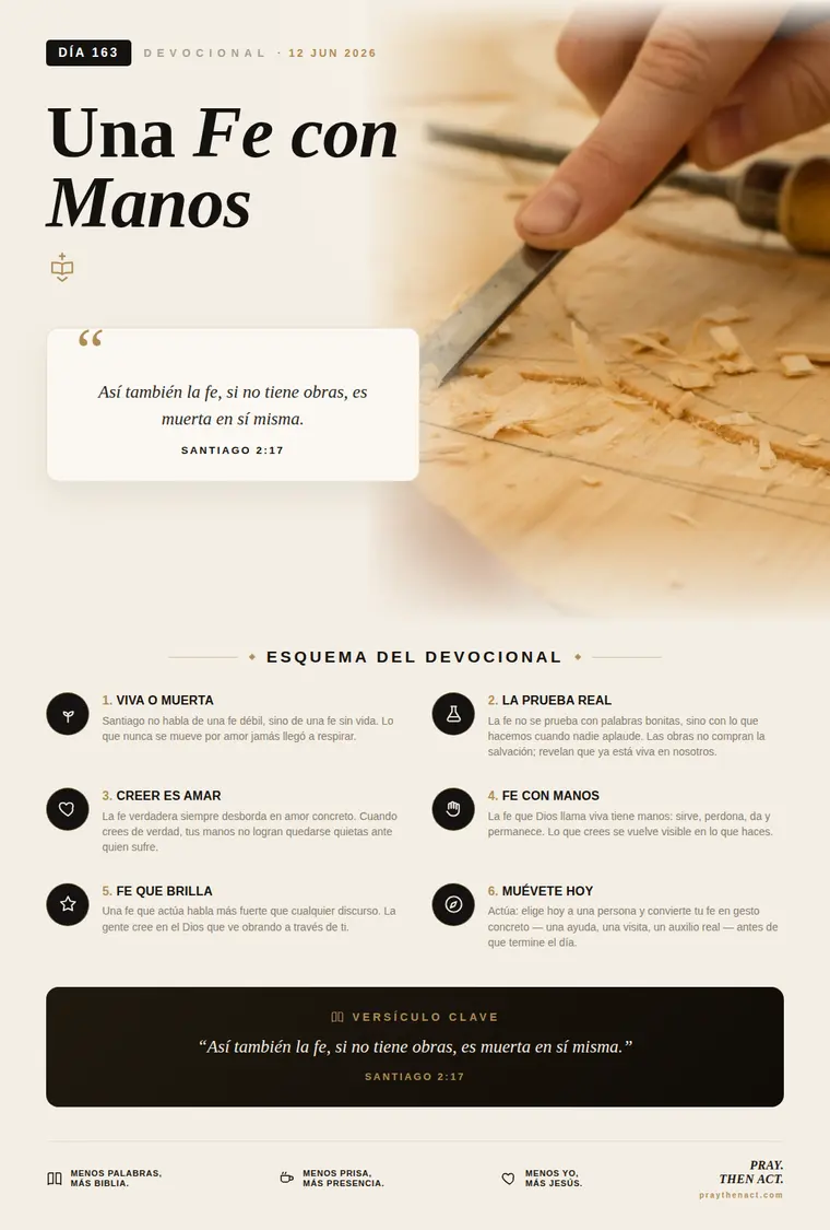 Día 163 en Español